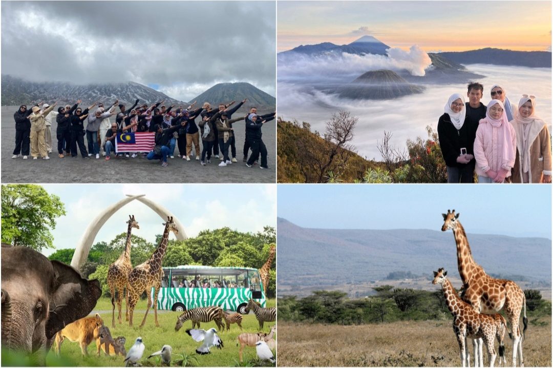 Pakej Percutian Surabaya Bromo Taman Safari