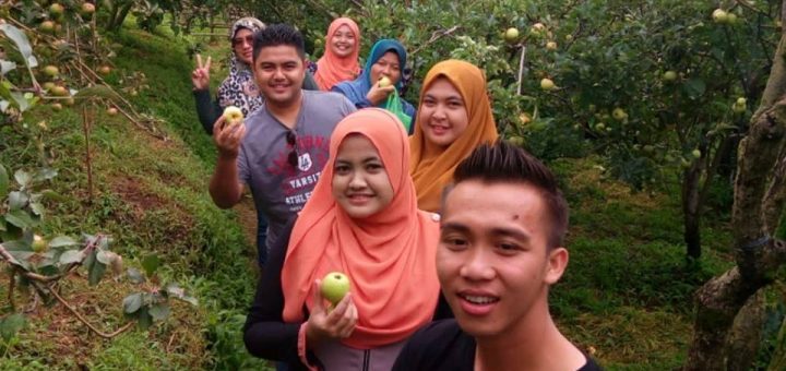 Percutian Ke Ladang Epel Di Malang Surabaya