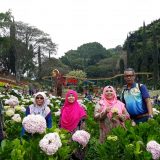 Percutian Surabaya Bromo Malang – Rahman