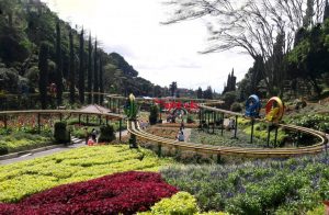 Taman 1000 Bunga Di Malang Surabaya