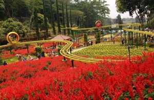 Taman 1000 Bunga Di Malang Surabaya